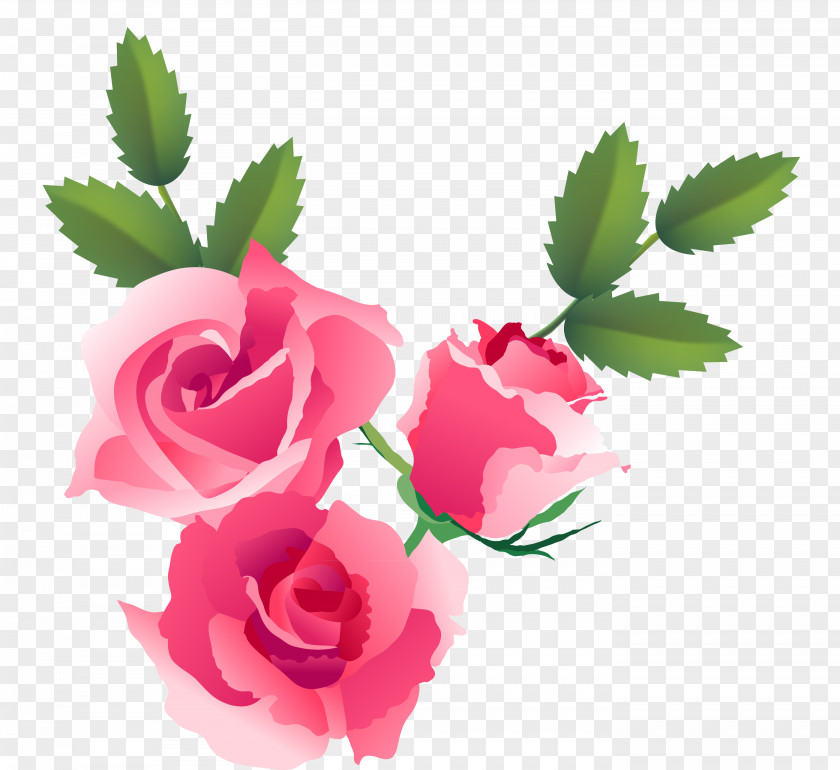 Roses The Poetical Language Of Flowers; Or Pilgrimage Love Floral Design Fototapeta Drawing PNG
