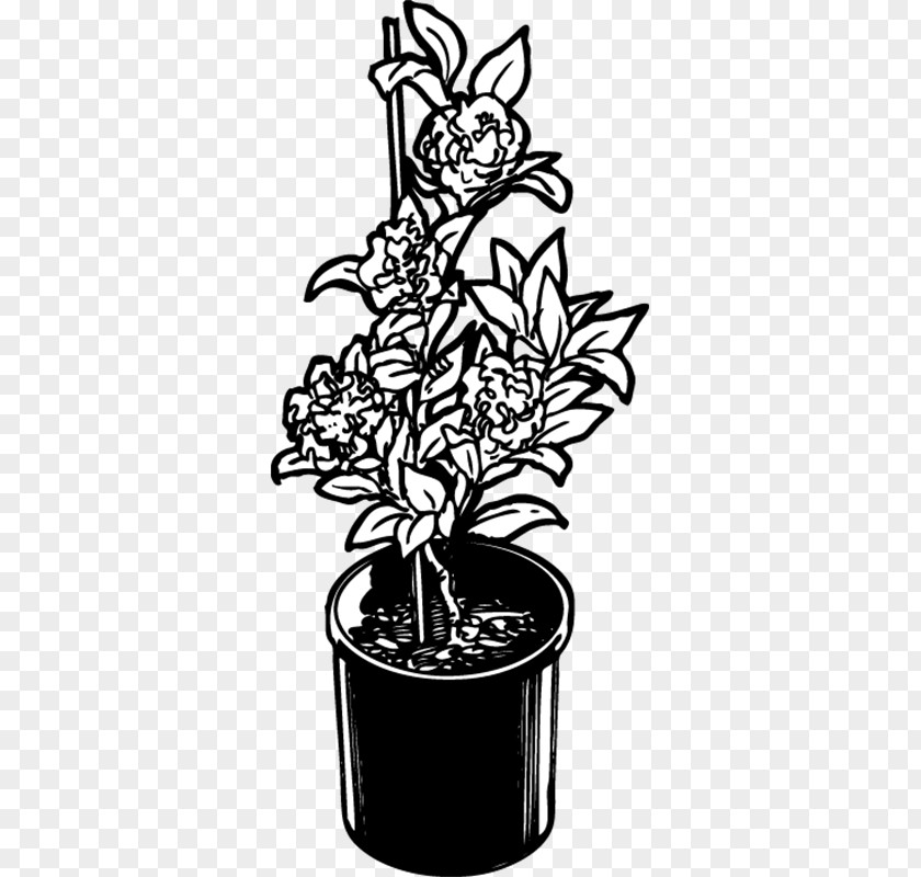 Camellia Sasanqua Flowerpot Flowering Plant Font Black PNG