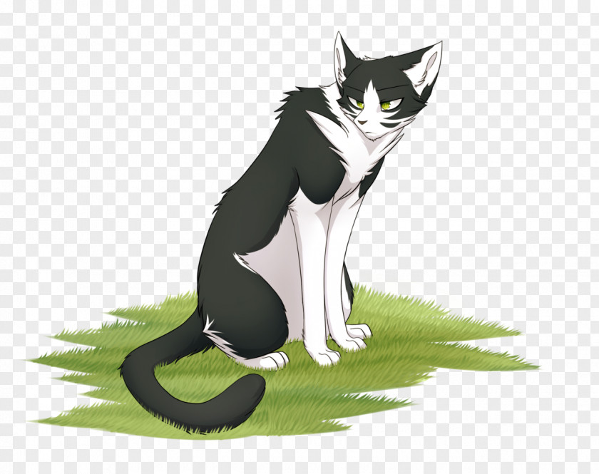 Kitten Whiskers Warriors Cat Ravenpaw PNG