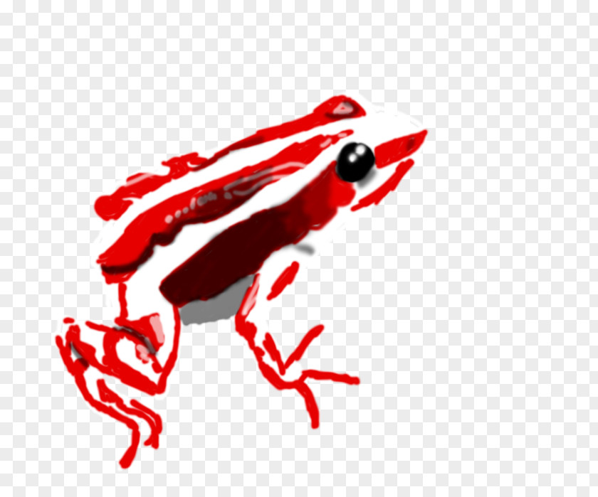 Poison Dart Amphibians Clip Art Illustration Blood Line PNG