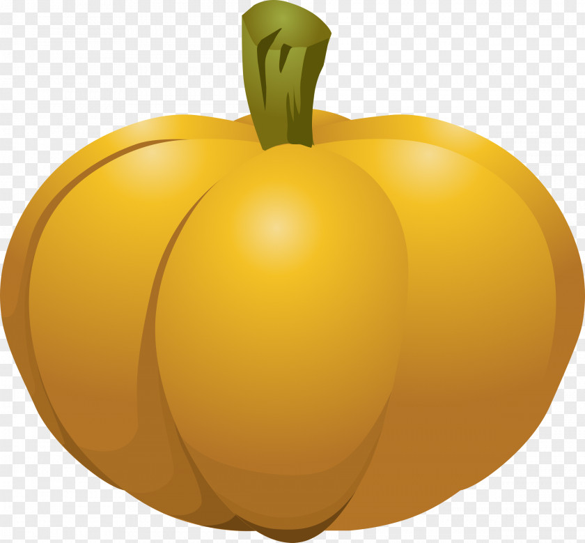 Pumpkin Cucurbita Calabaza Pie Clip Art PNG