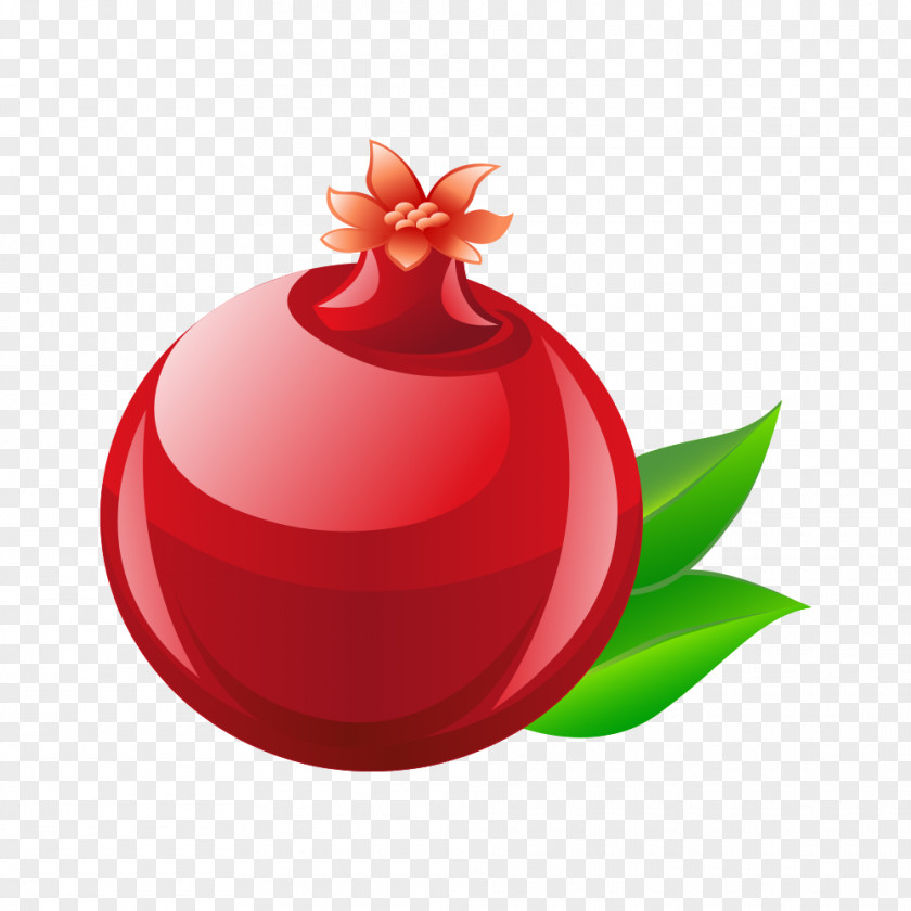 Red Button Clip Art Pomegranate Fruit Vector Graphics Hindi PNG