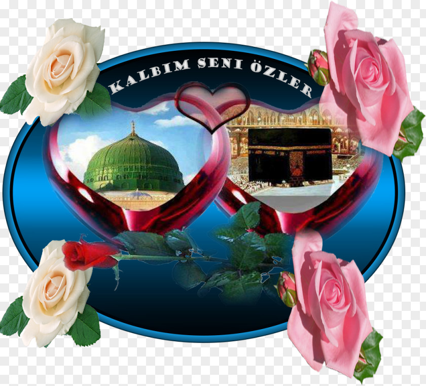 Rose Garden Roses Mecca Television PNG