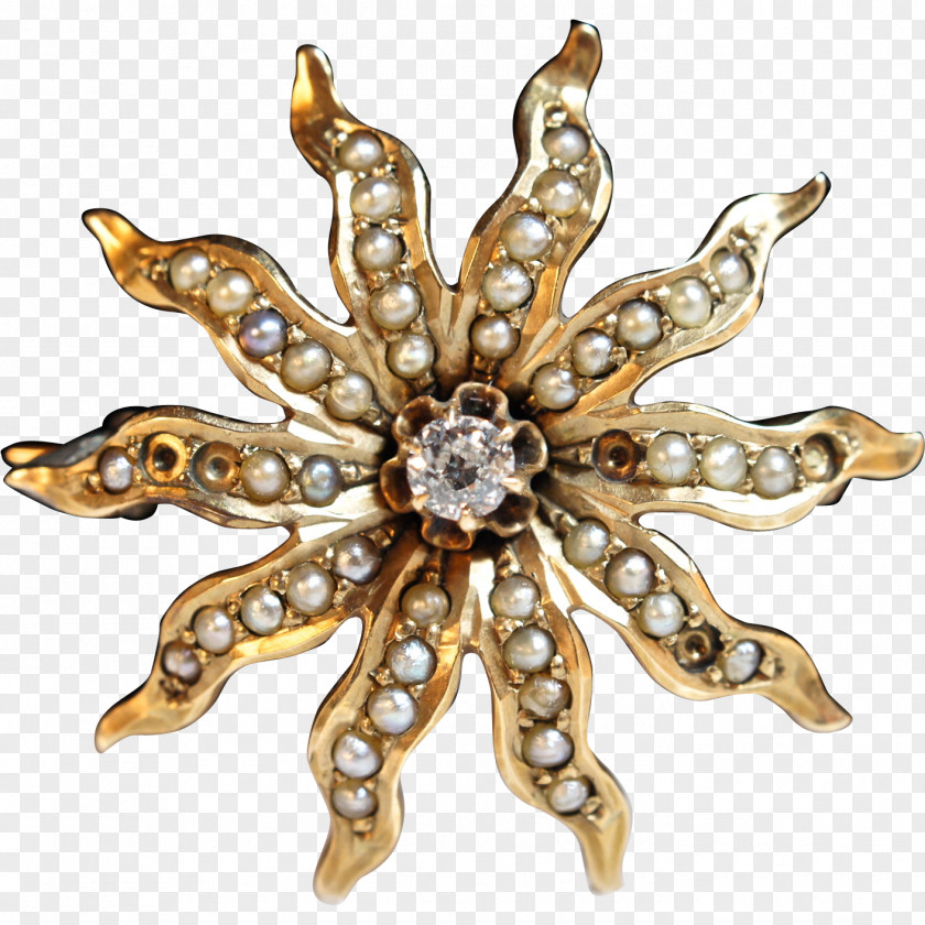 Vintage Gold Body Jewellery Brooch Clothing Accessories Spider Flower PNG