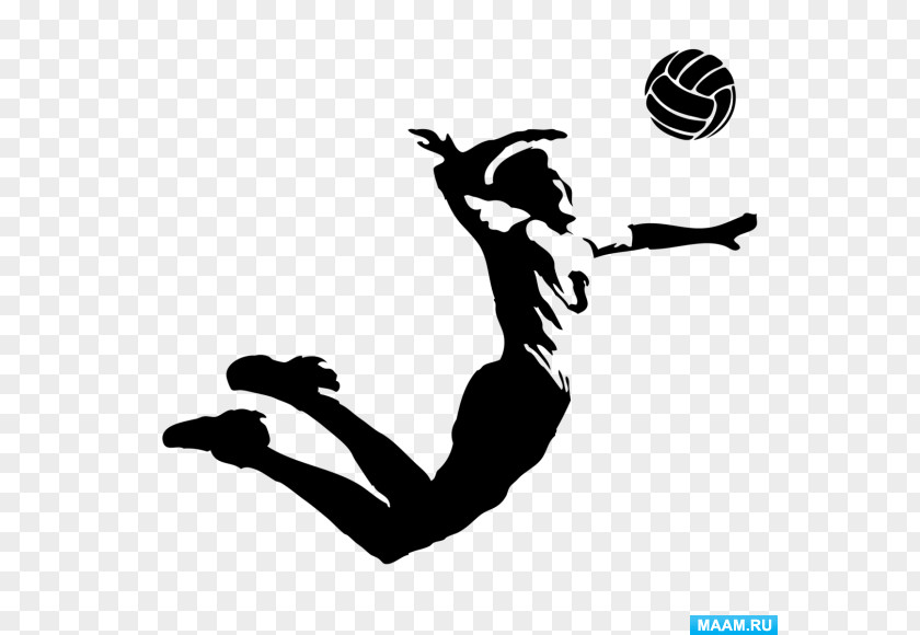 Volleyball VC Zenit-Kazan Sport Belogorie Tournament PNG