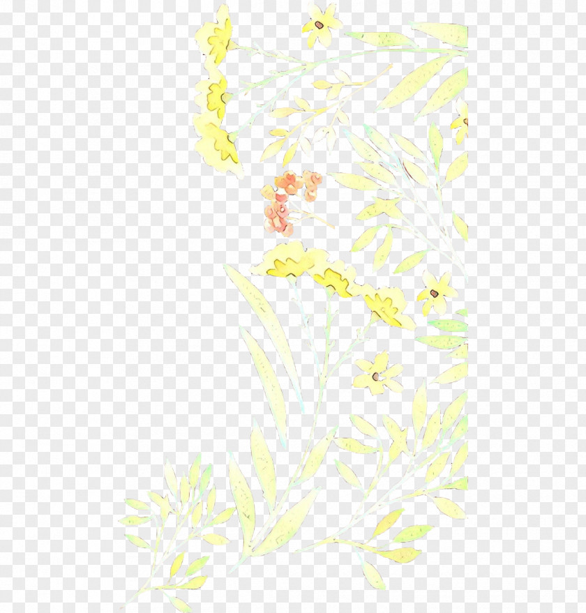 Yellow White Floral Design PNG