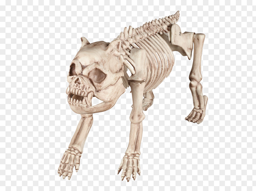 Bone Dog Beagle Skeleton Halloween Costume PNG