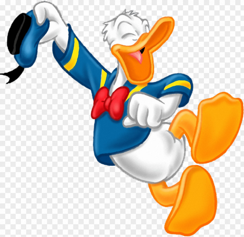 Donald Duck Daisy Image Clip Art Cartoon PNG