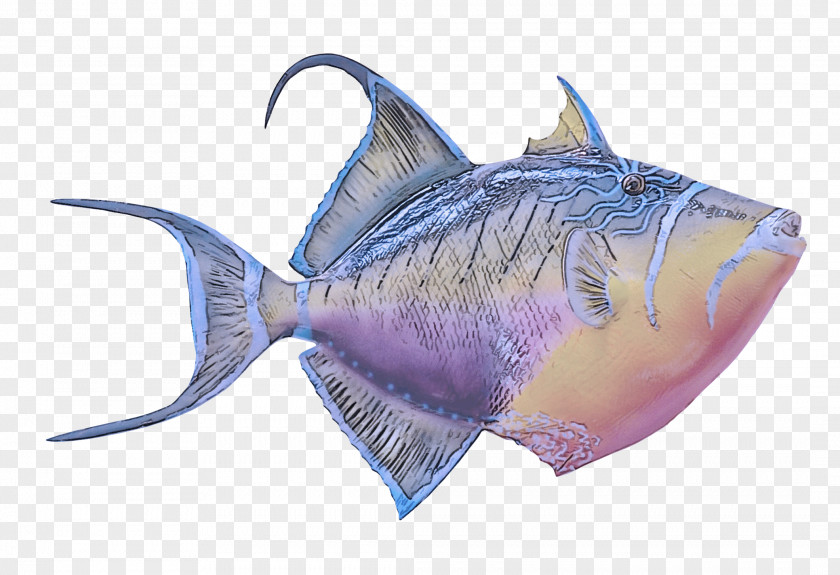 Fish Triggerfish Deep Sea Fin PNG