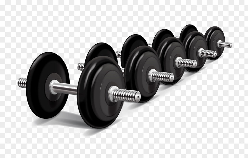 Textured Dumbbell Element Weight Training Physical Exercise Machine Olympic Weightlifting PNG