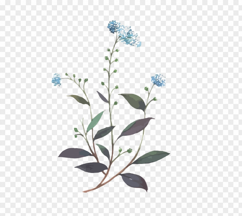 Vector Blue Floral Flower PNG