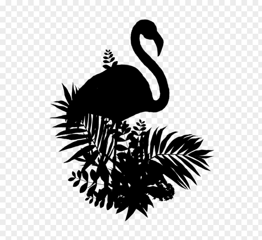 Ducks Geese And Swans Blackandwhite Bird Silhouette PNG