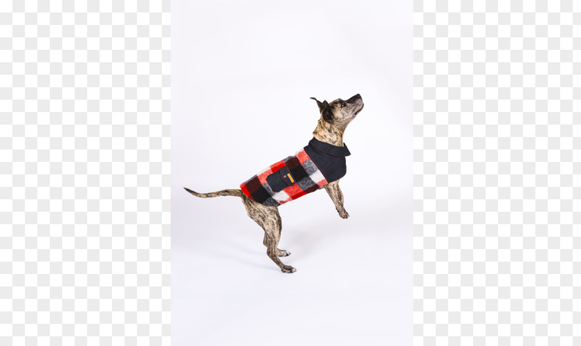 Jacket Dog Breed Italian Greyhound Coat Staffordshire Bull Terrier PNG