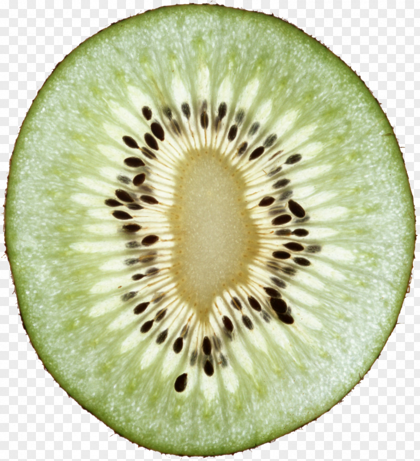Kiwi Image, Free Fruit Pictures Download Kiwifruit PNG