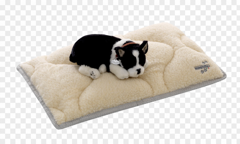 Puppy Dog Breed Bed PNG