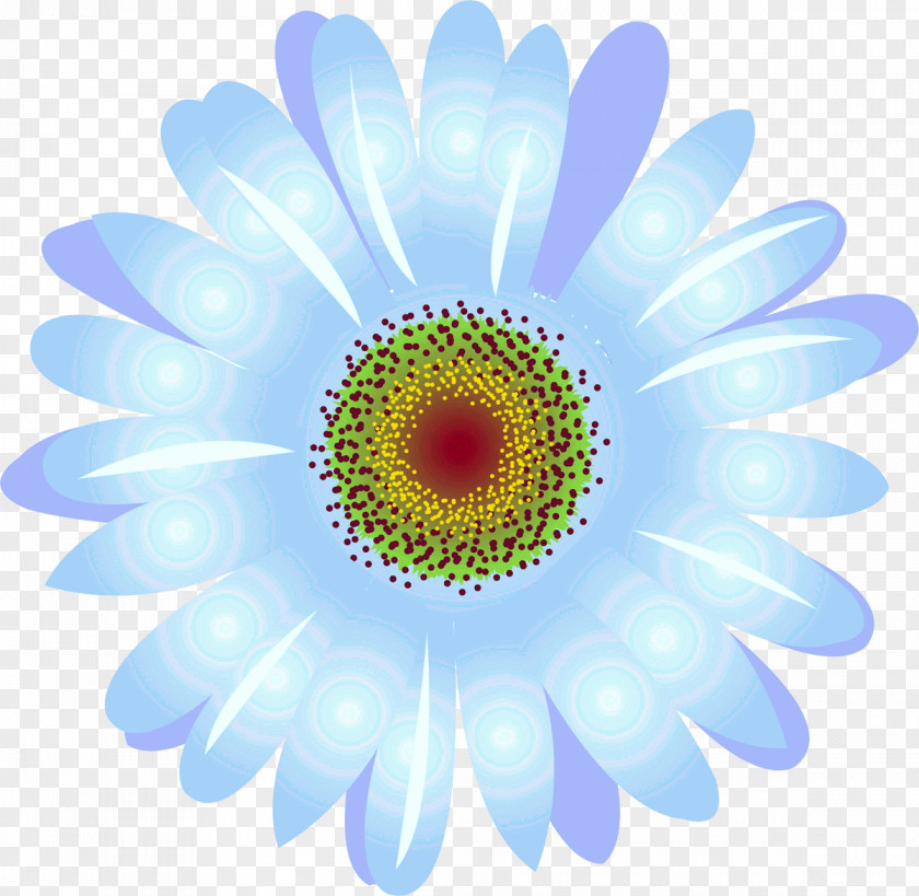 Camomile Daisy Family Common Transvaal Oxeye Chrysanthemum PNG