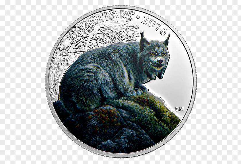 Canadian Lynx Canada Wildcat Polar Bear Coin Bobcat PNG