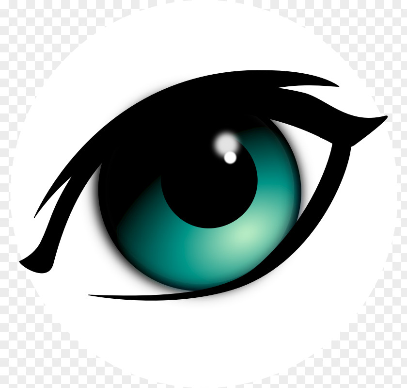 Eye Animation Clip Art PNG