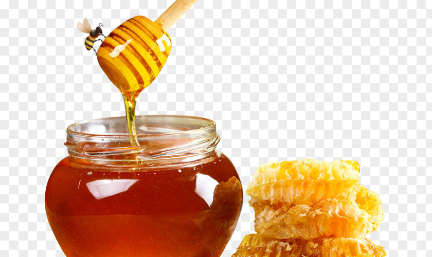 Honey Health Food Indian Cuisine Miele Della Lunigiana PNG