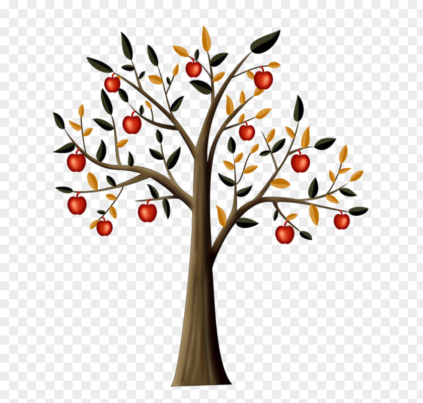 Painted Apple Drawing Tree Clip Art PNG