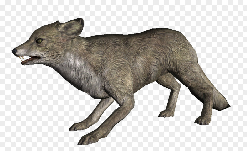 Arctic Fox The Elder Scrolls V: Skyrim – Dragonborn Scrolls: Legends Coyote Gray Wolf PNG