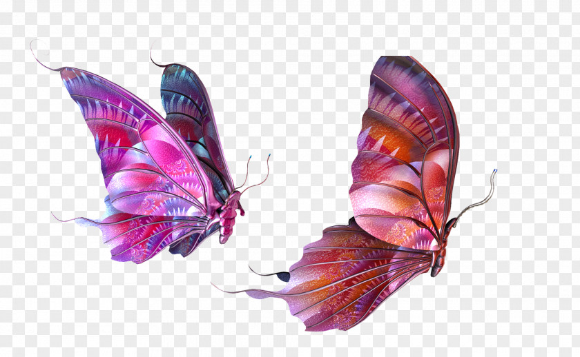 Both Purple Butterfly Clip Art PNG