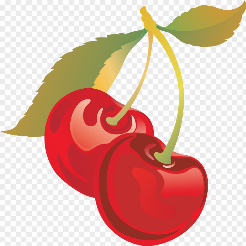 Cherry Sweet Drawing Clip Art PNG