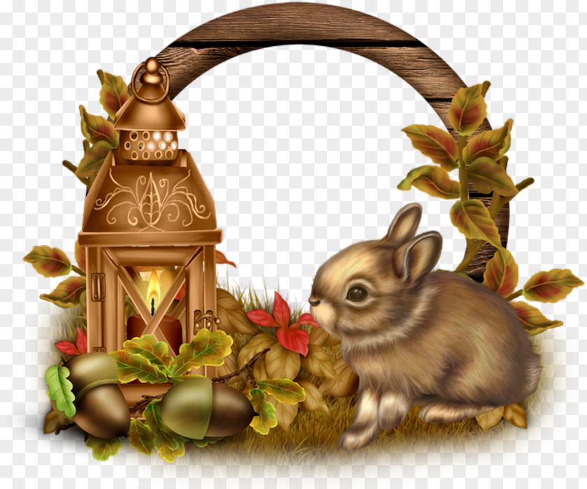 Mid Autumn Rabbit Domestic Hare Easter Bunny PNG