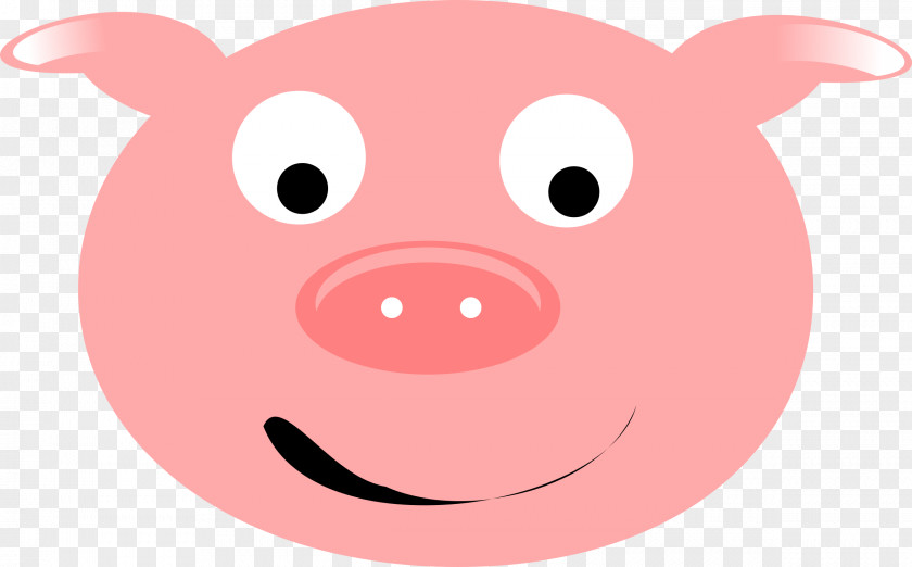 Pig Domestic Vertebrate Snout Facial Expression Nose PNG