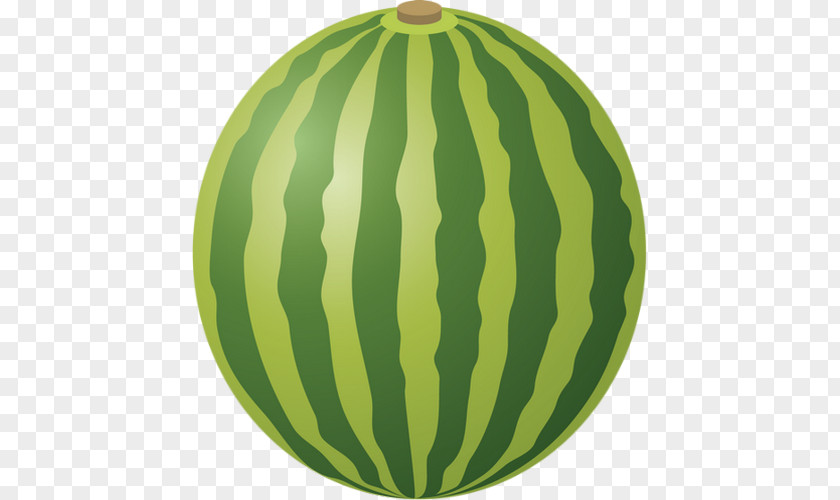 Watermelon Photography PNG