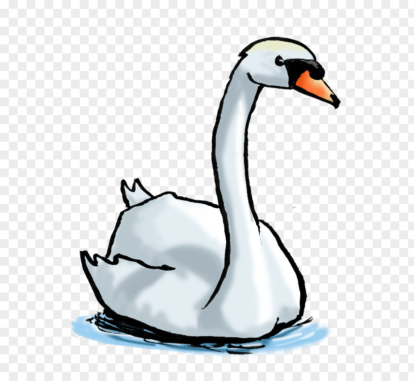 Castor Cygnini Duck Goose Drawing PNG