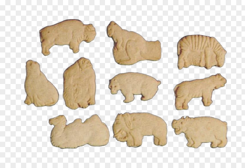 Dog Animal Cracker Snout PNG