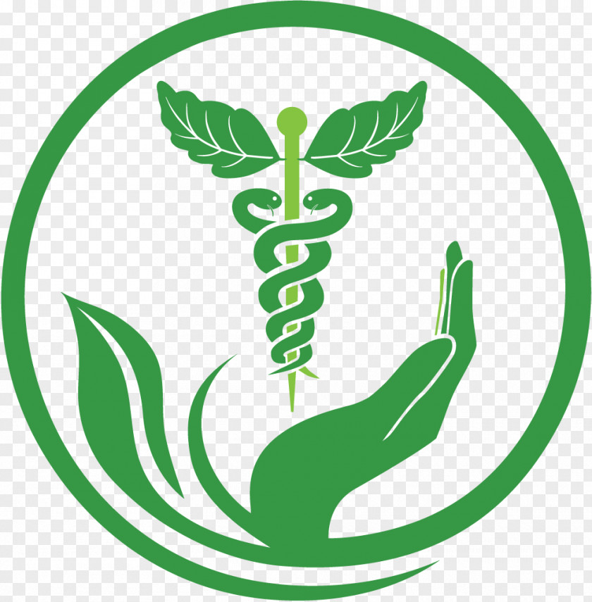Pharmacy Herbalism Medicine Alternative Health Services Naturopathy PNG