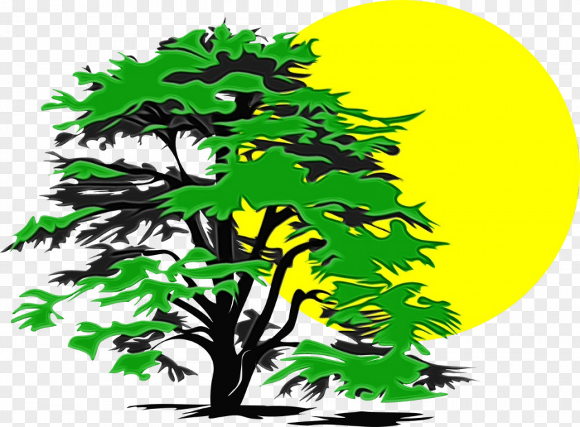 Plane Plant Stem Oak Tree Silhouette PNG
