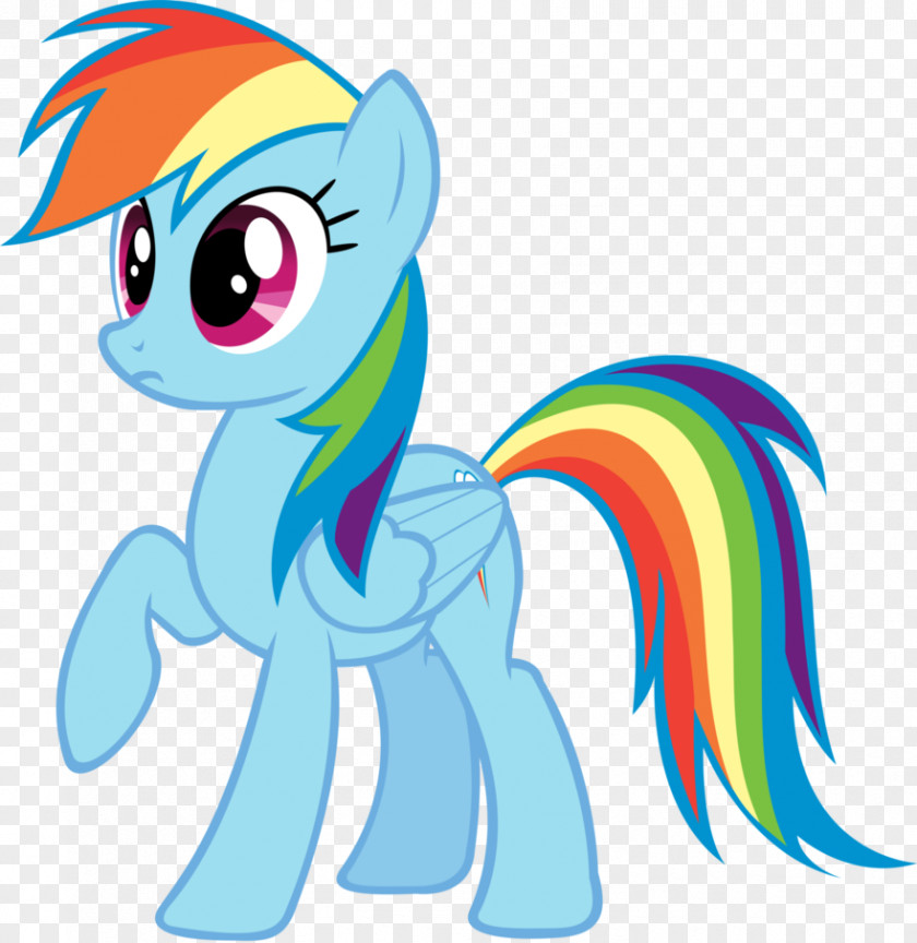 Rainbow Dash Pinkie Pie Rarity Twilight Sparkle Pony PNG