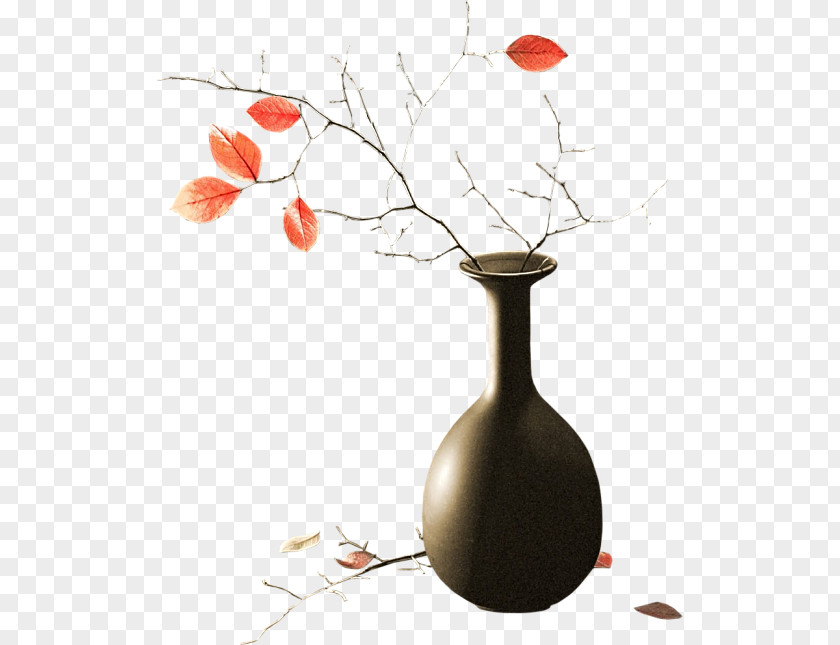 Vase Still Life Photography PNG