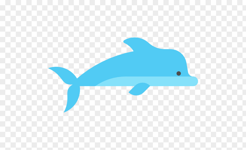 Dolphin Common Bottlenose Tucuxi Clip Art PNG