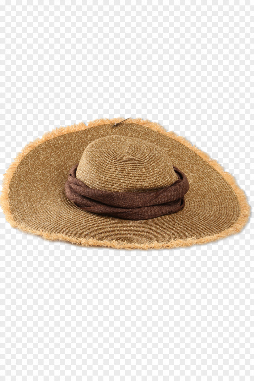 Hat Flat Cap Fashion Fedora PNG