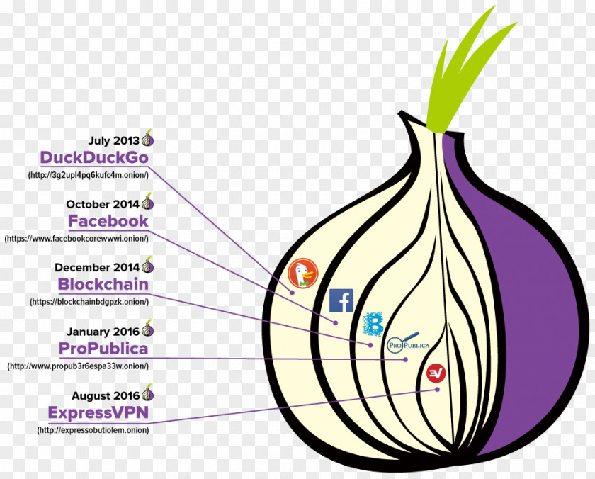 Onion .onion Dark Web Tor Browser OpenVPN PNG