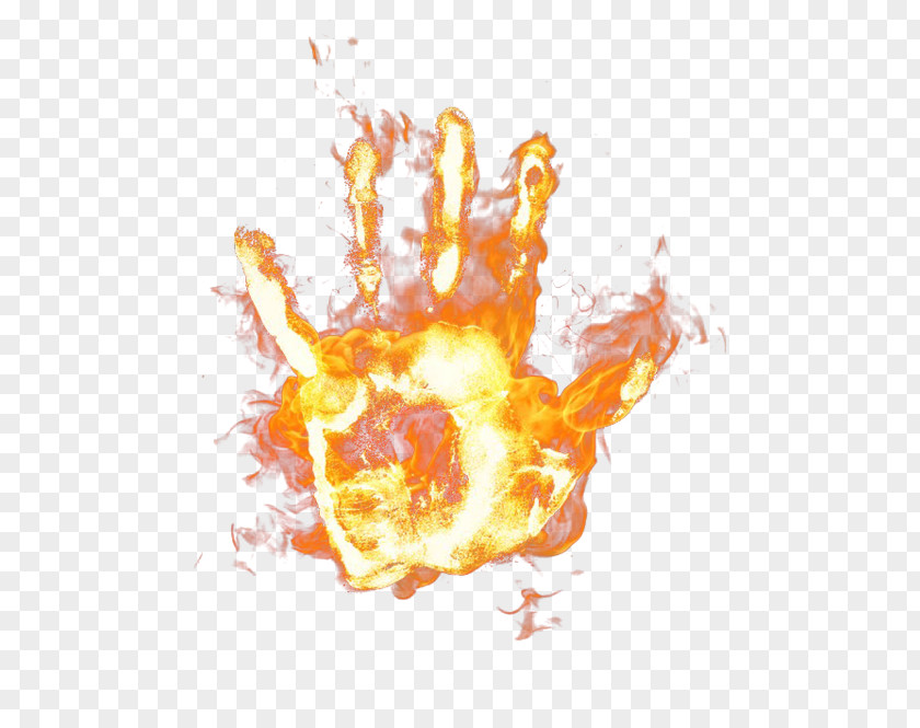 Flame Desktop Wallpaper Organism Computer Font PNG