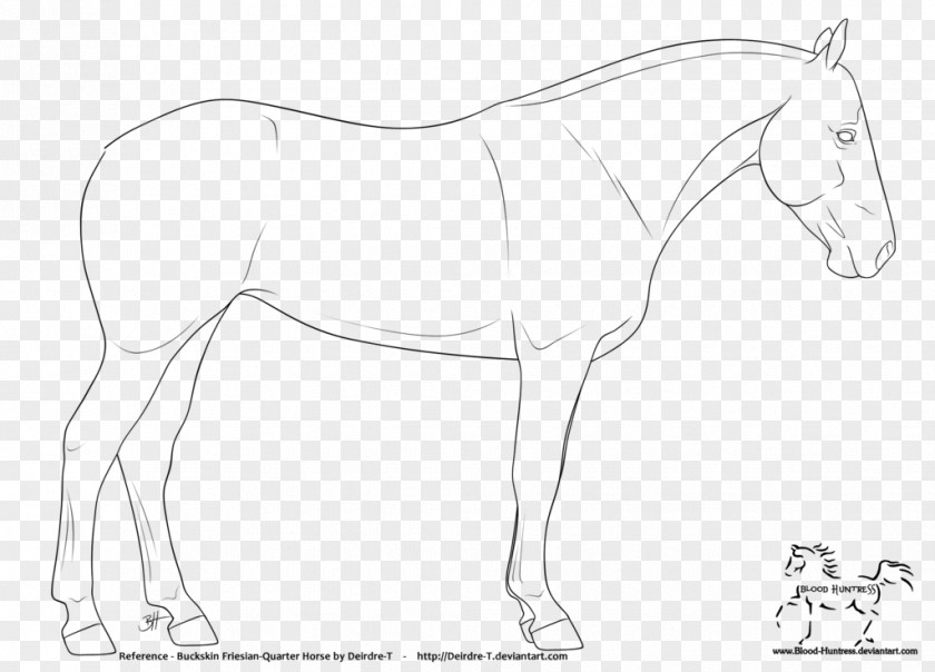 Horsehead Printing Mule American Quarter Horse Friesian Mustang Foal PNG