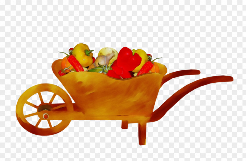Plant Fried Food French Fries PNG