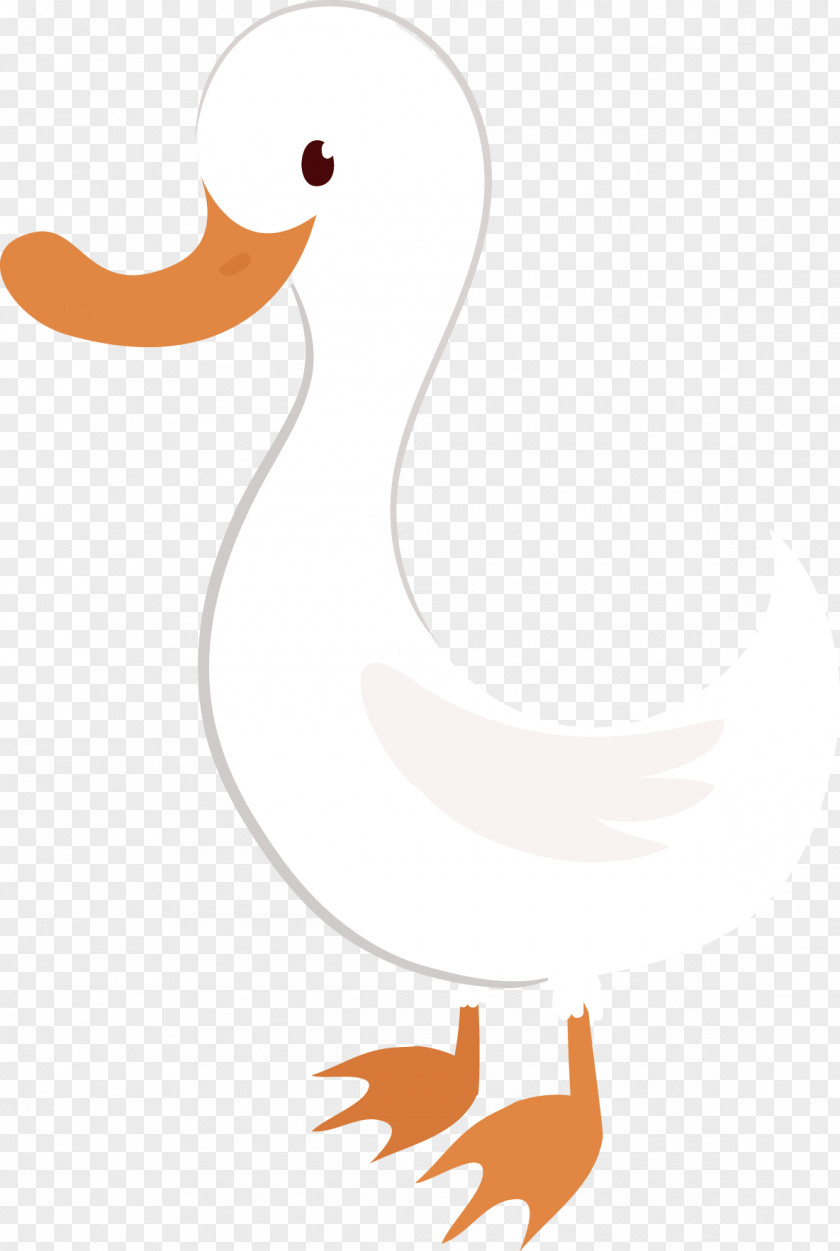 Swan Vector Duck American Pekin Cygnini Clip Art PNG