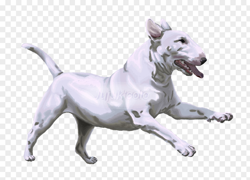 Bull Terrier Dog Breed Drawing Non-sporting Group PNG
