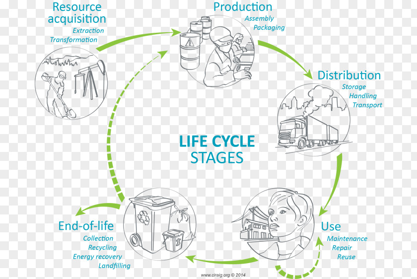 Coffee Raw Materials Product Life-cycle Management Assessment Cycle De Vie Des Produits Biological Life PNG