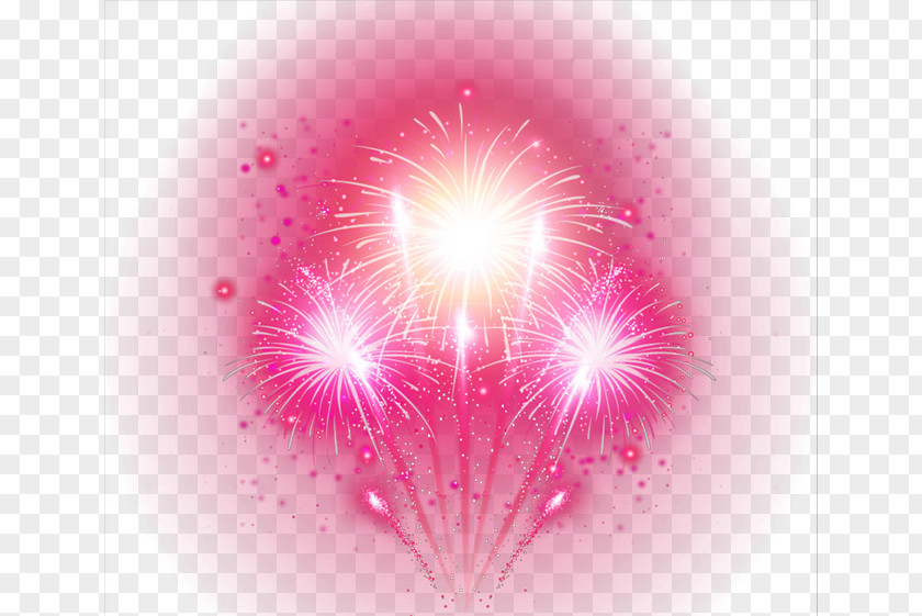 Fireworks Petal Sky Computer Pattern PNG