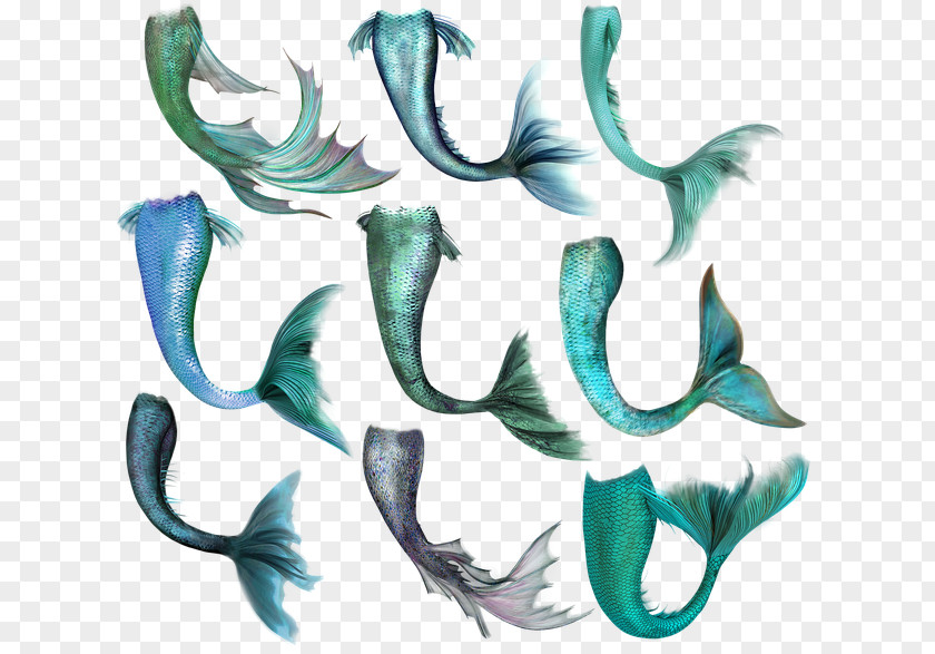 Mermaid Pyrstö Fish Tail PNG