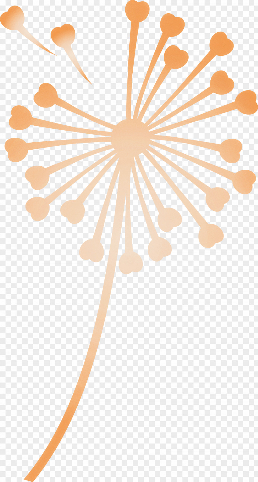 Dandelion PNG