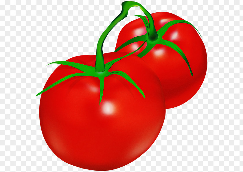 Local Food Tomato PNG