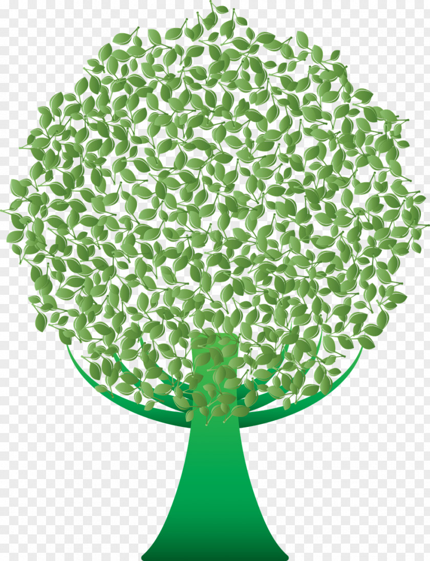 Tree Clip Art PNG